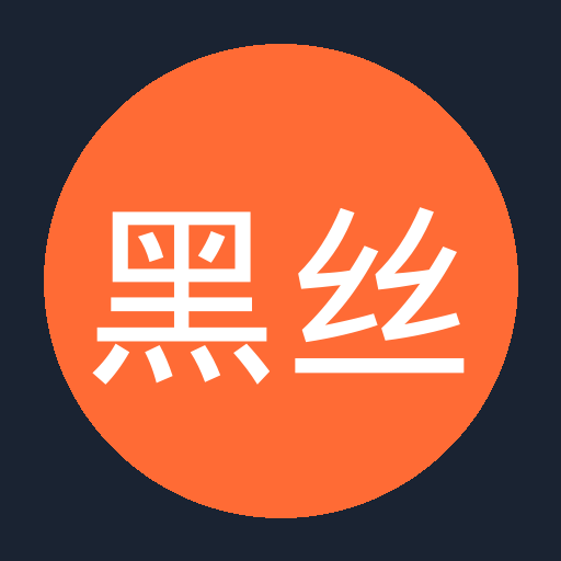 黑丝 - 国内知名汽车改装公司